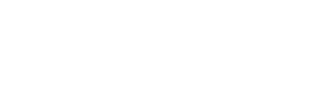 DICE GmbH